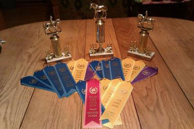 Ribbons